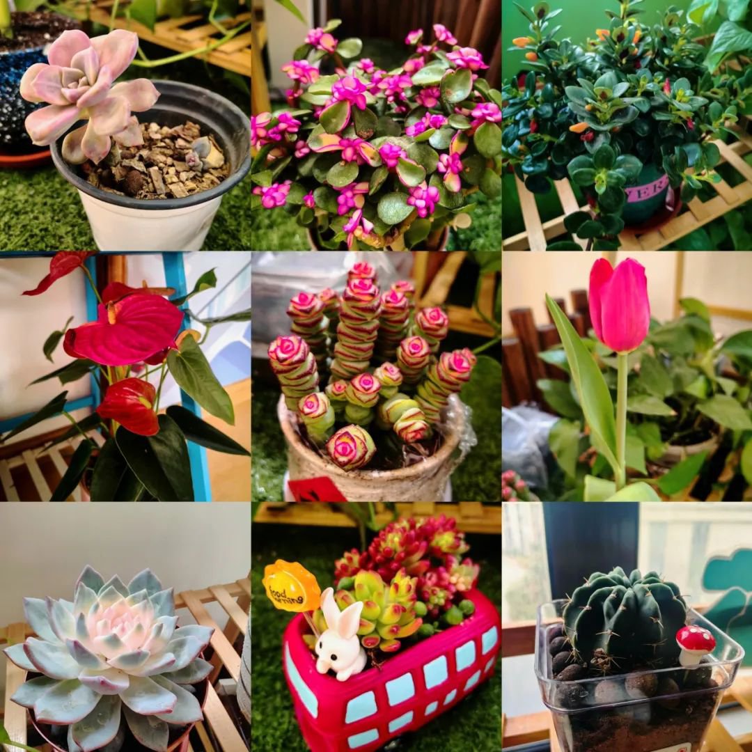 南宫NG28相信品牌的实力网址(中国)官网