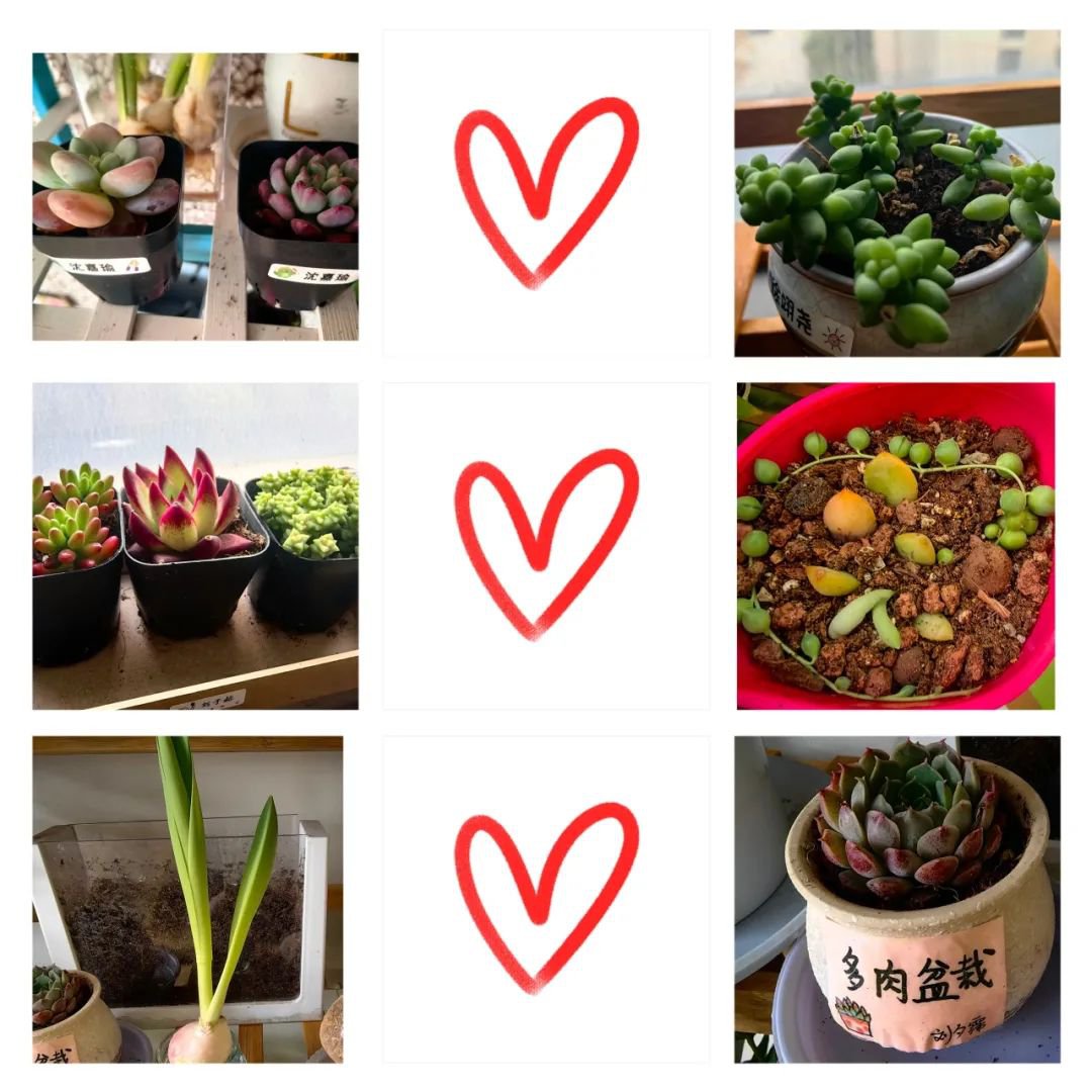 南宫NG28相信品牌的实力网址(中国)官网