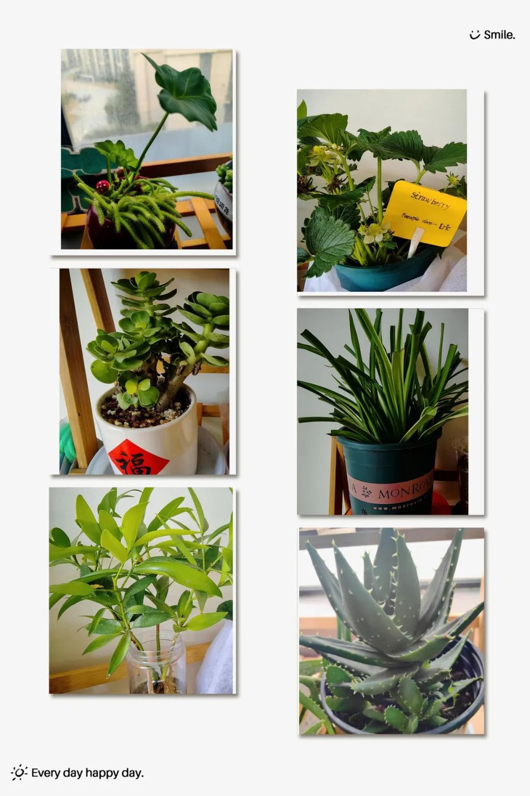 南宫NG28相信品牌的实力网址(中国)官网