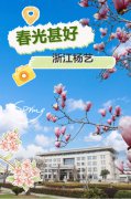 春分之韵|南宫NG28邀您共享春光