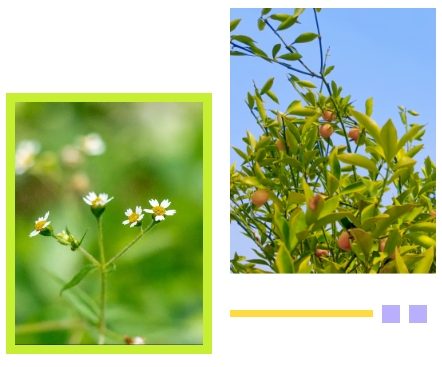 南宫NG28相信品牌的实力网址(中国)官网