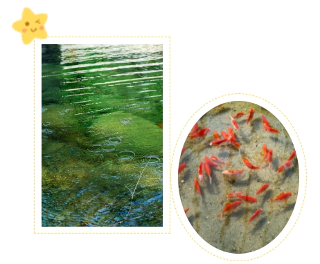 南宫NG28相信品牌的实力网址(中国)官网