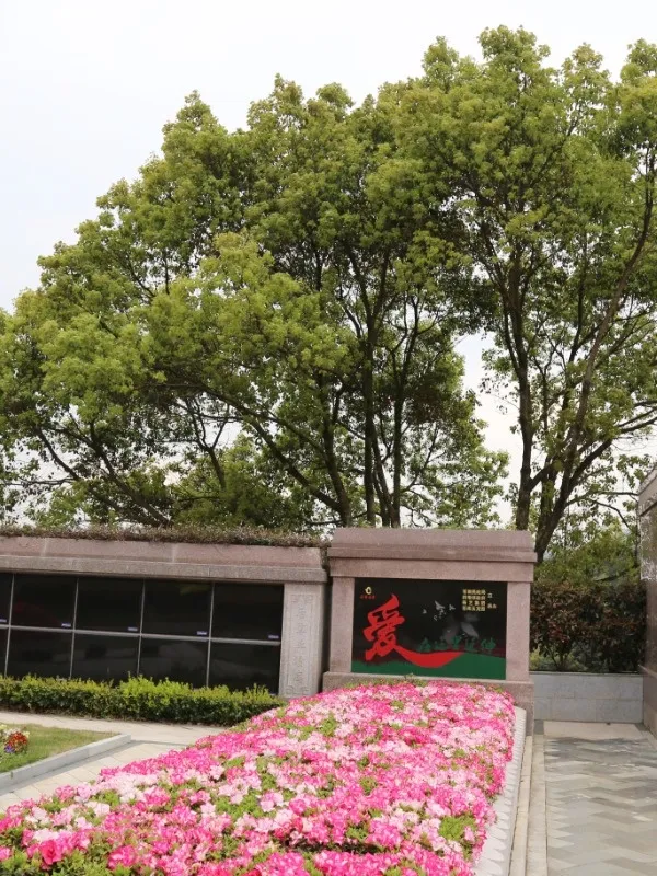 南宫NG28相信品牌的实力网址(中国)官网