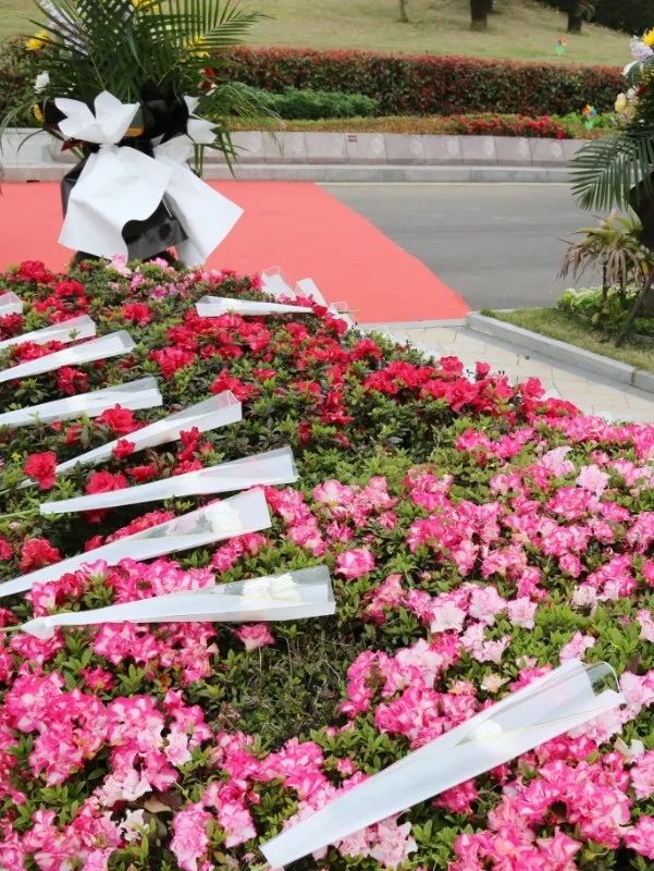 南宫NG28相信品牌的实力网址(中国)官网