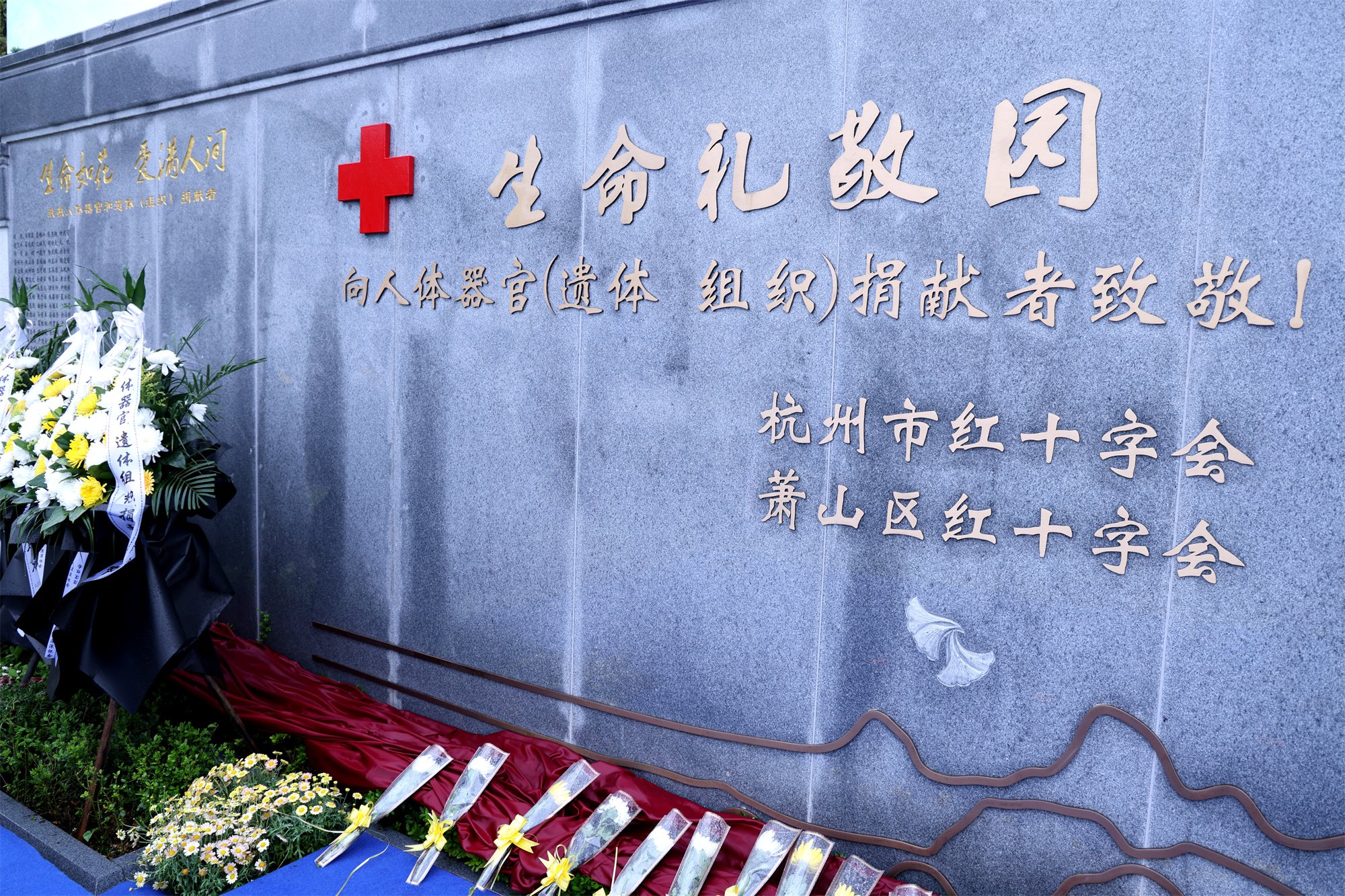 南宫NG28相信品牌的实力网址(中国)官网