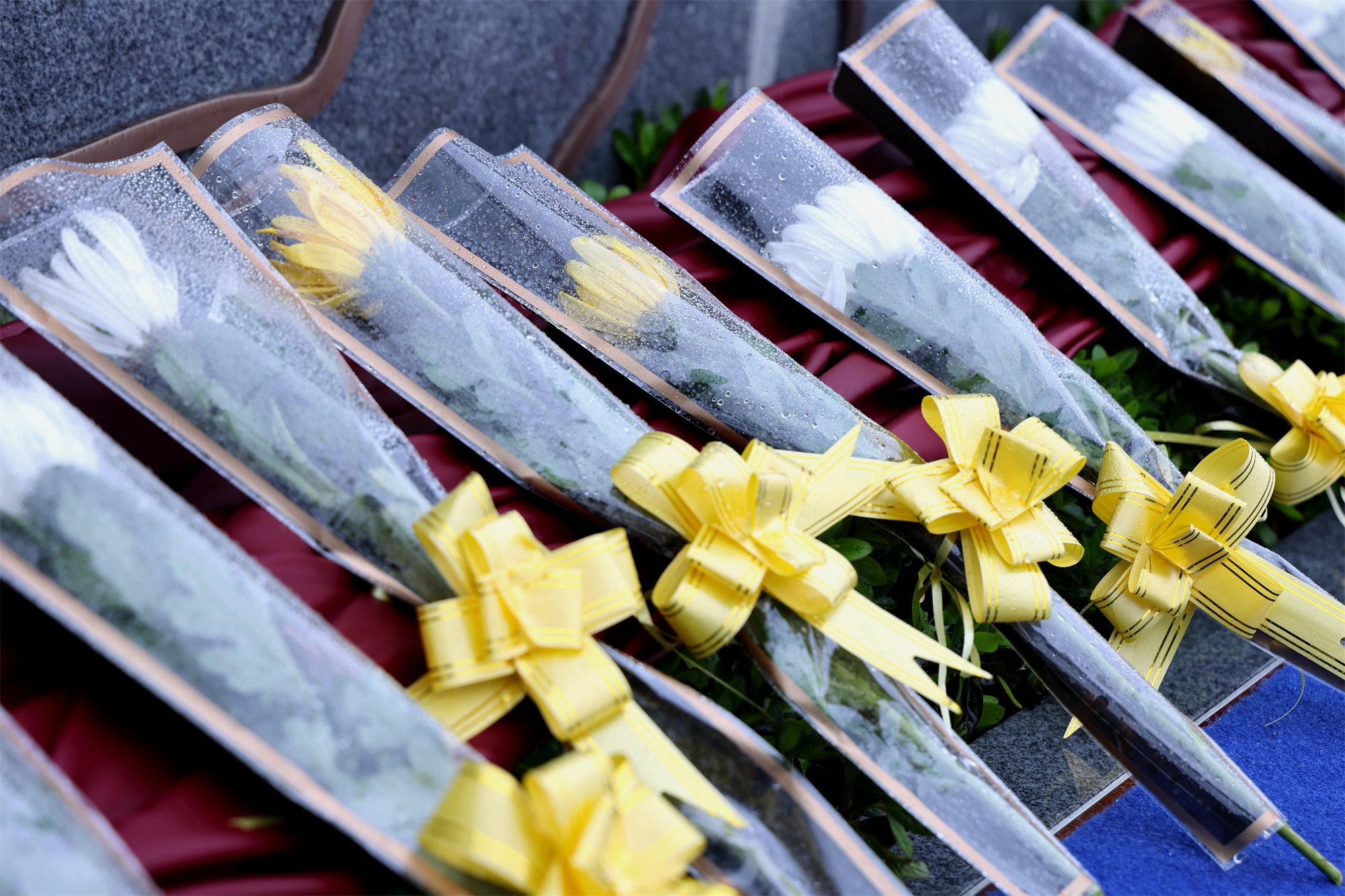 南宫NG28相信品牌的实力网址(中国)官网