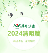 风起清明 遥寄相思|南宫NG28集团?2024清明篇