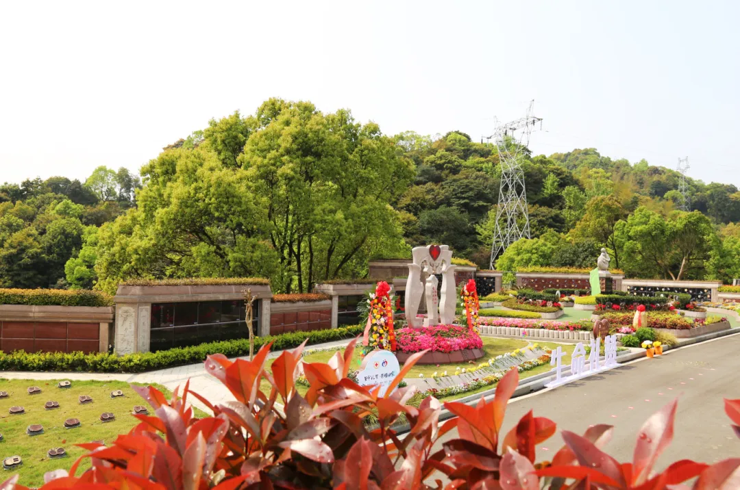 南宫NG28相信品牌的实力网址(中国)官网