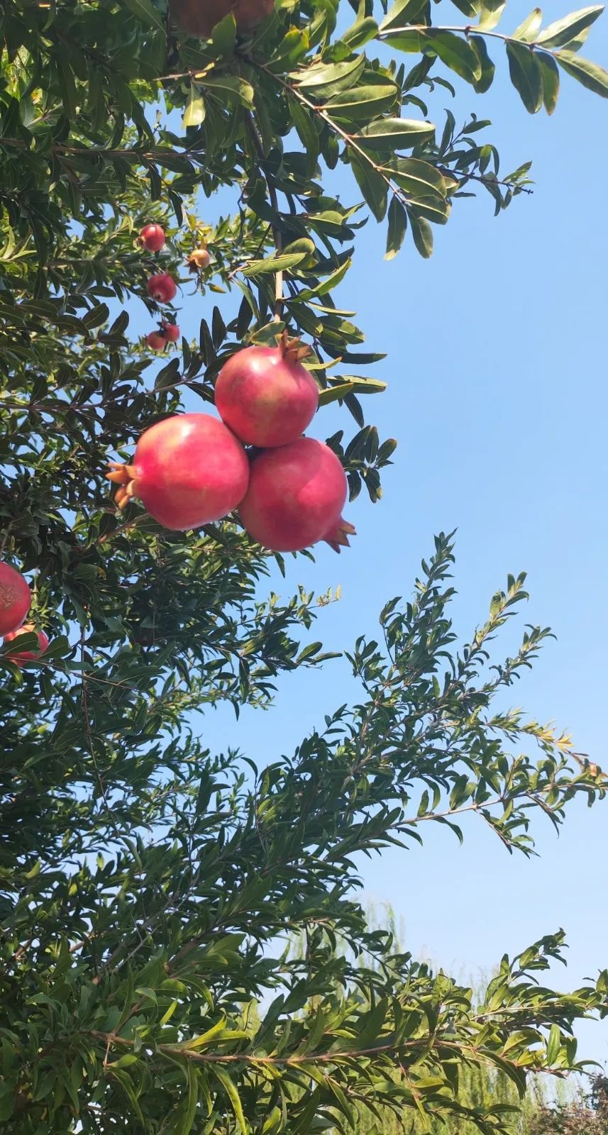 南宫NG28相信品牌的实力网址(中国)官网