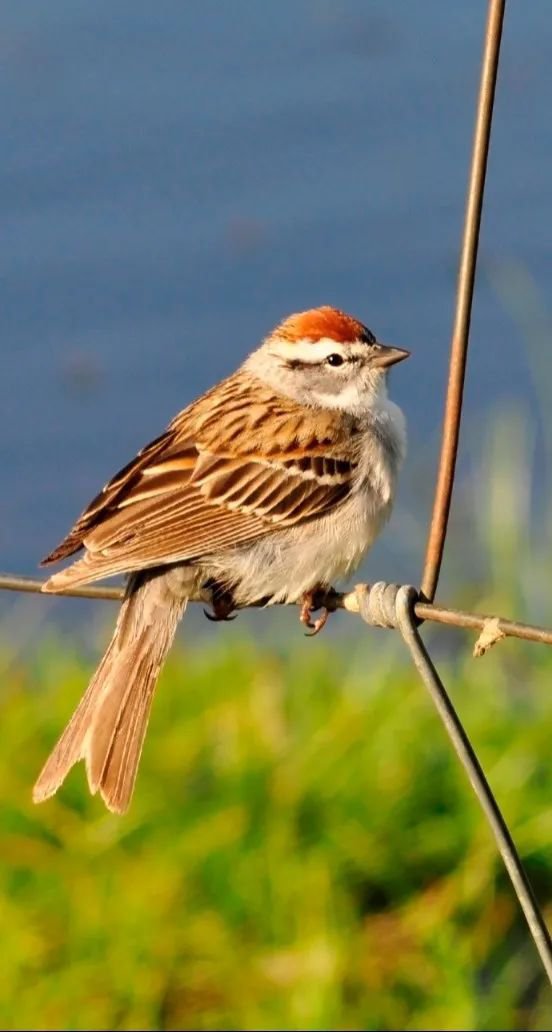 南宫NG28相信品牌的实力网址(中国)官网