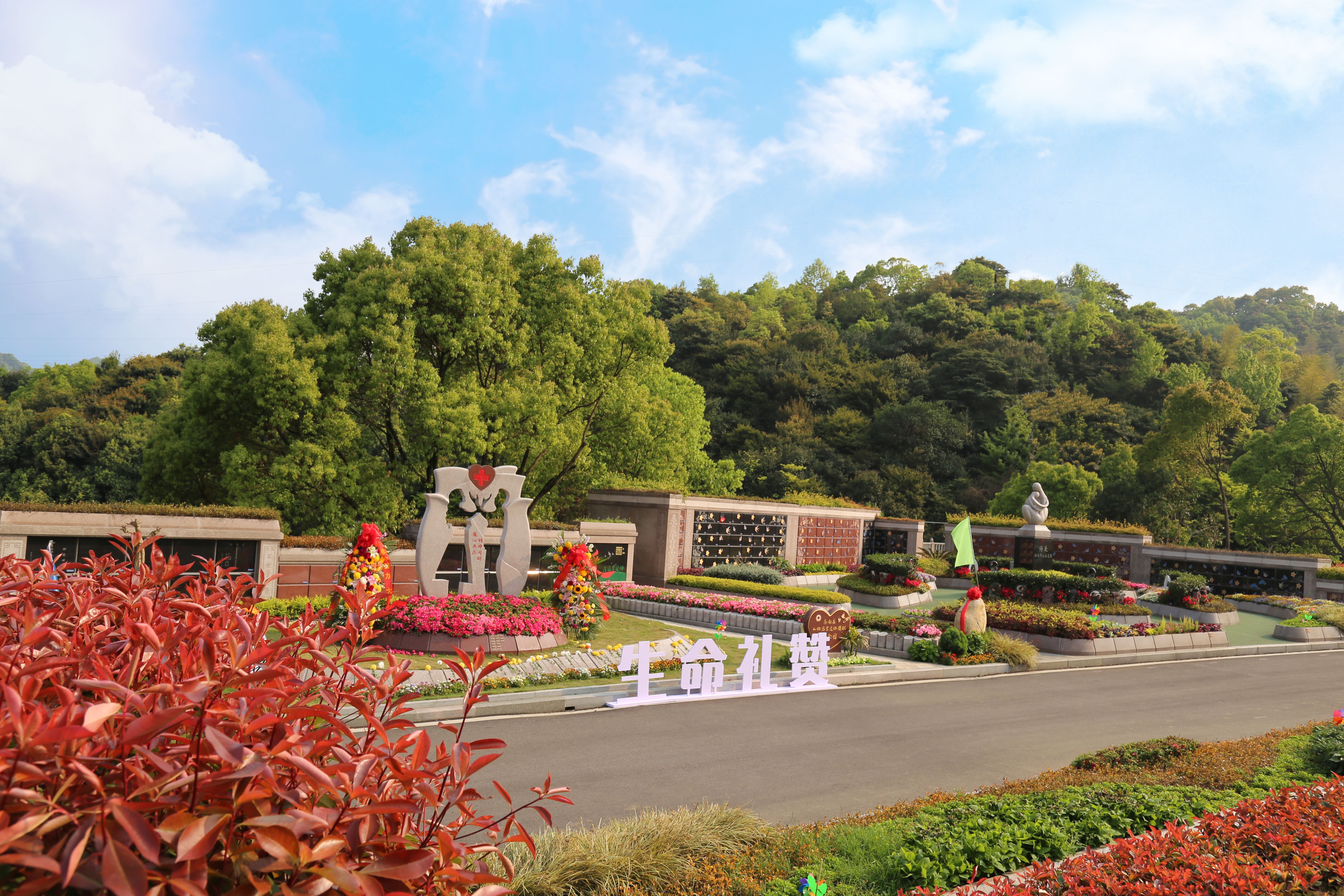 南宫NG28相信品牌的实力网址(中国)官网