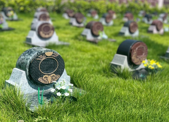 南宫NG28相信品牌的实力网址(中国)官网