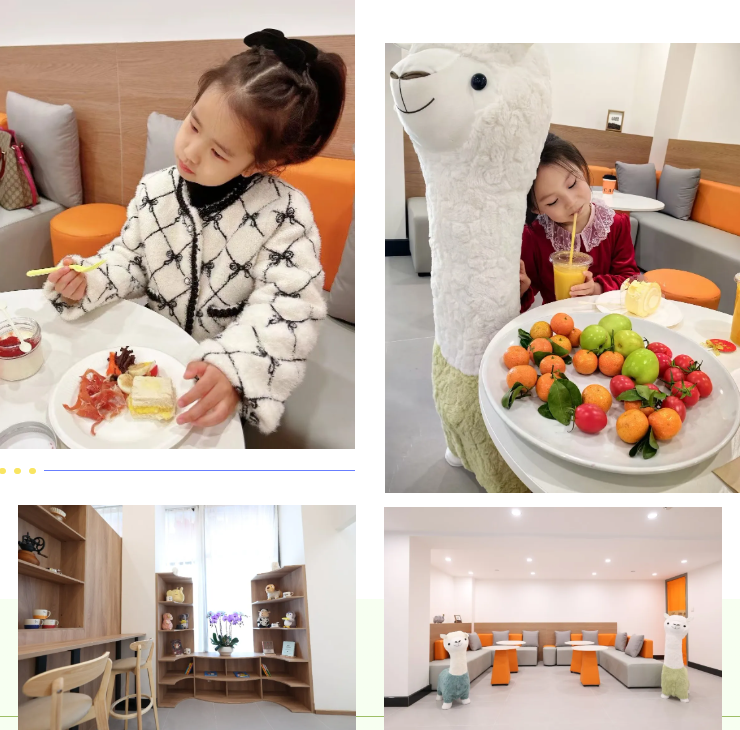 南宫NG28相信品牌的实力网址(中国)官网