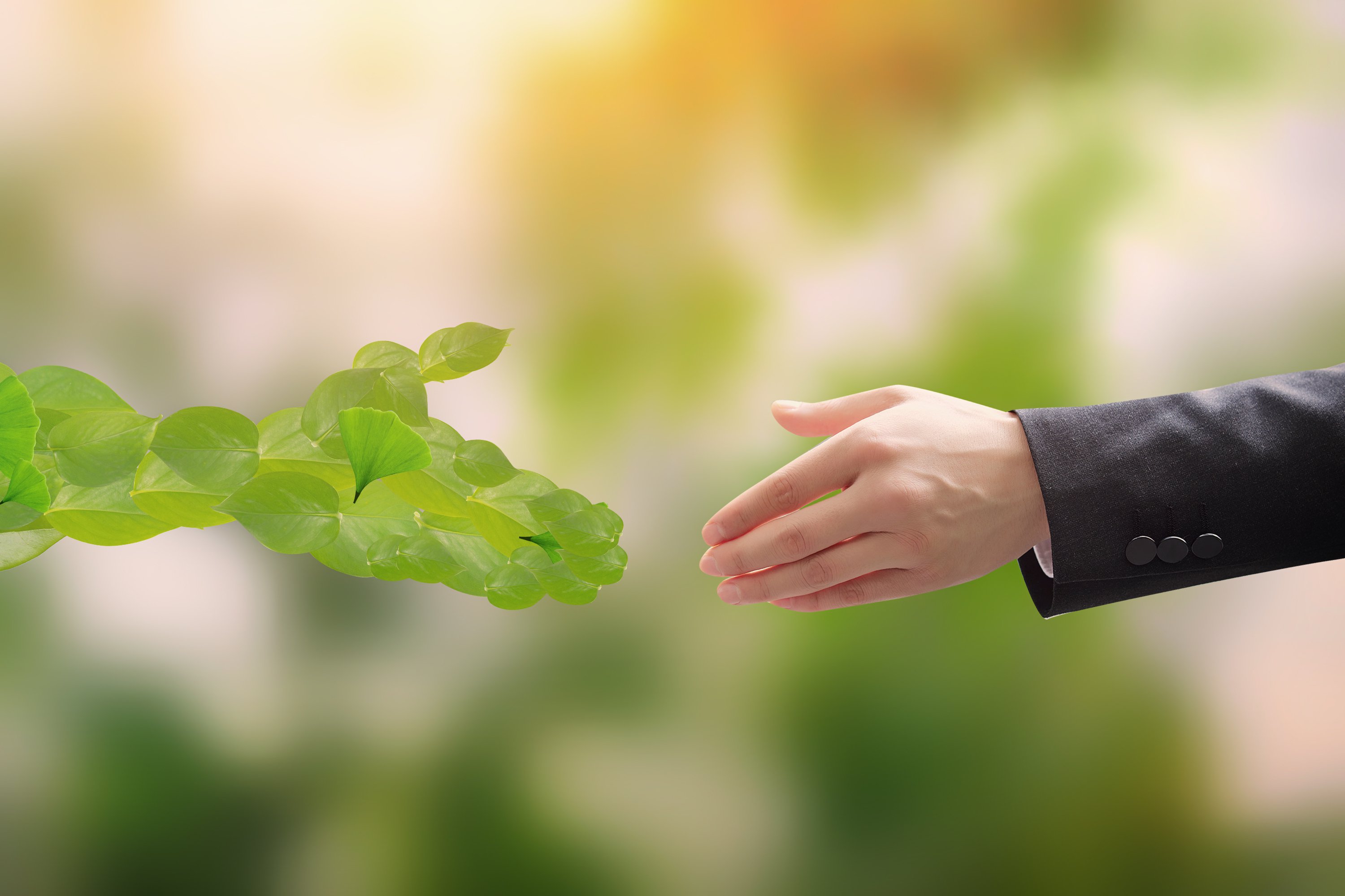 南宫NG28相信品牌的实力网址(中国)官网