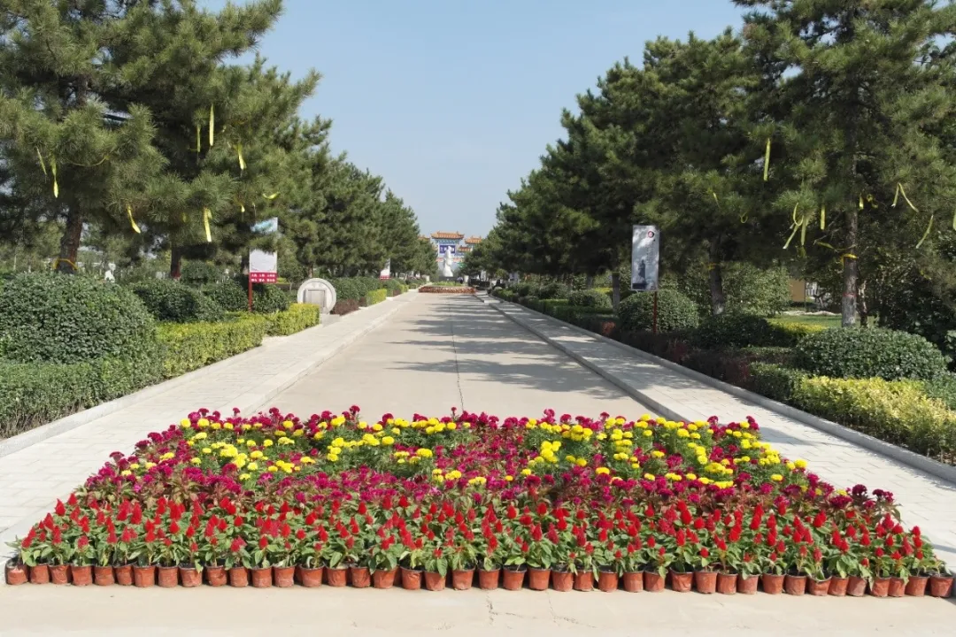 南宫NG28相信品牌的实力网址(中国)官网