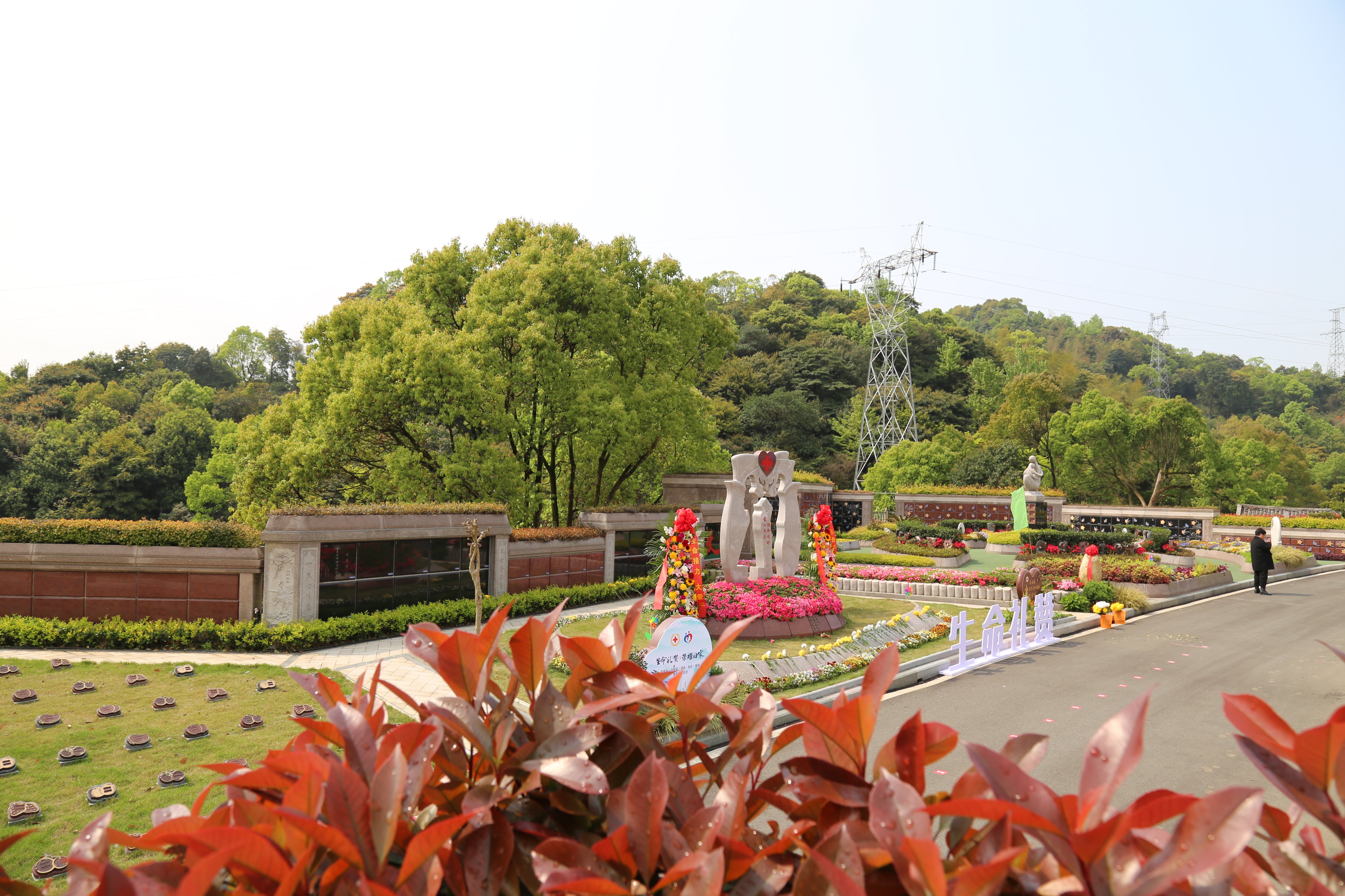 南宫NG28相信品牌的实力网址(中国)官网