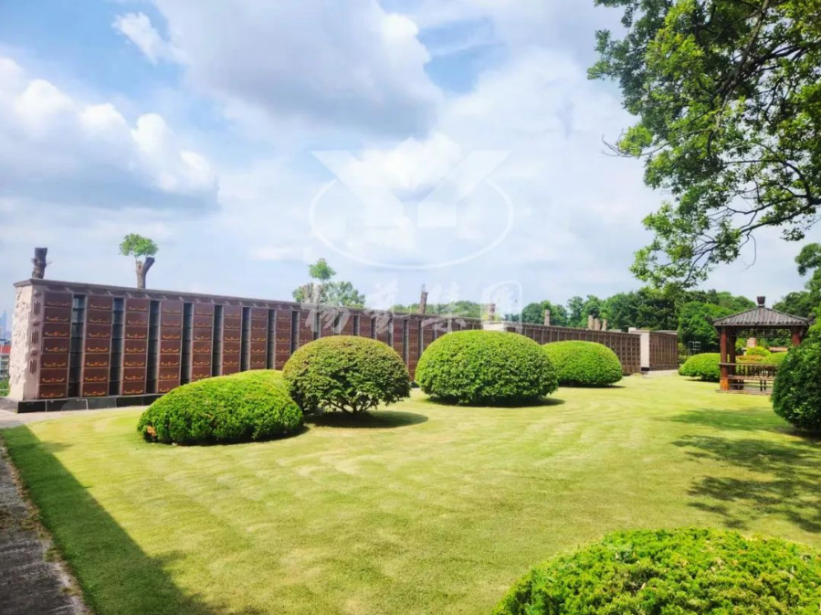 南宫NG28相信品牌的实力网址(中国)官网