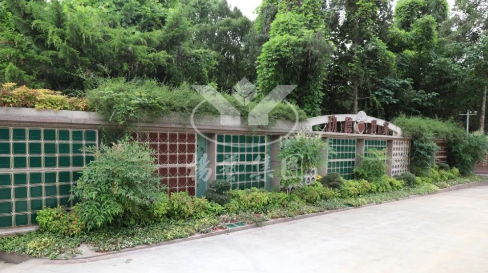 南宫NG28相信品牌的实力网址(中国)官网