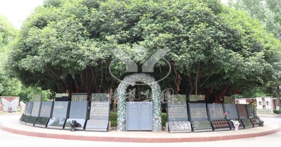 南宫NG28相信品牌的实力网址(中国)官网