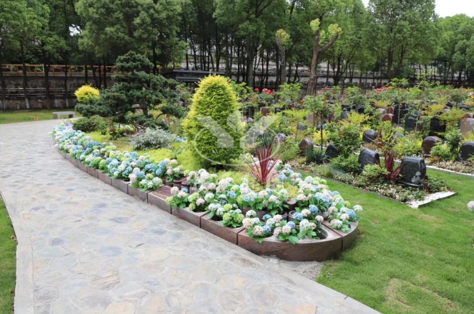 南宫NG28相信品牌的实力网址(中国)官网