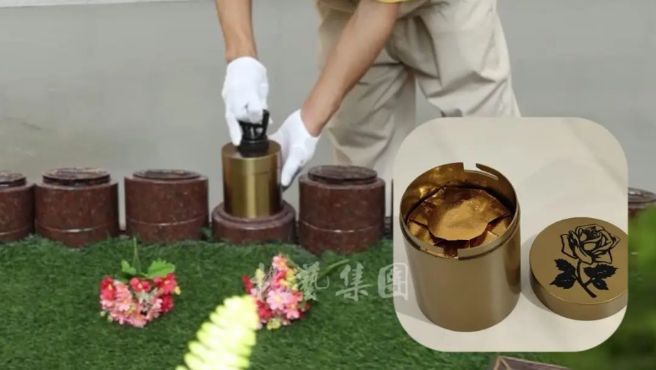 南宫NG28相信品牌的实力网址(中国)官网