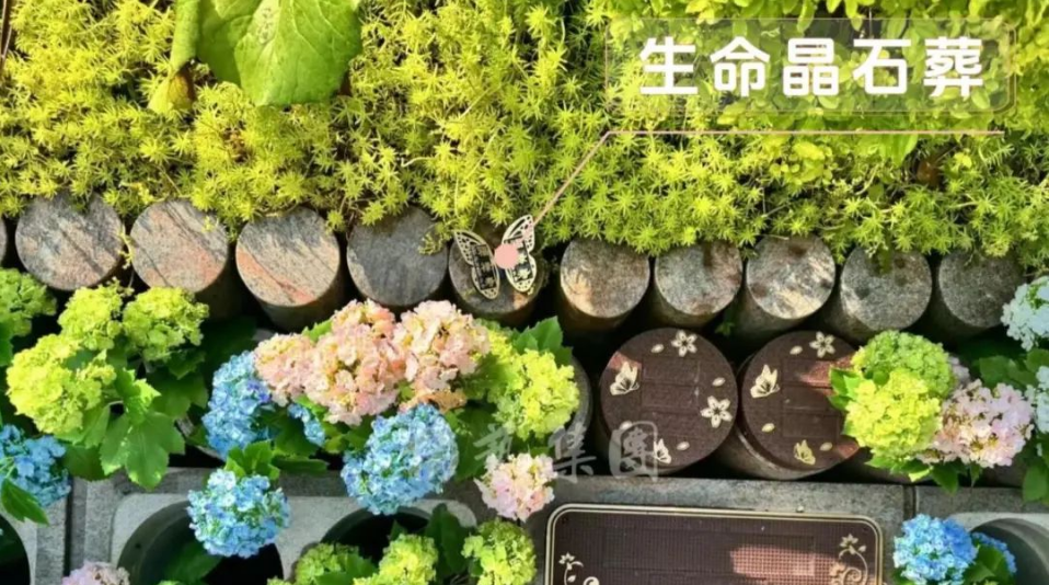 南宫NG28相信品牌的实力网址(中国)官网