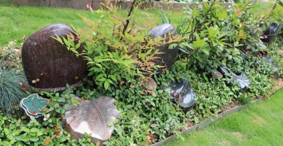 南宫NG28相信品牌的实力网址(中国)官网