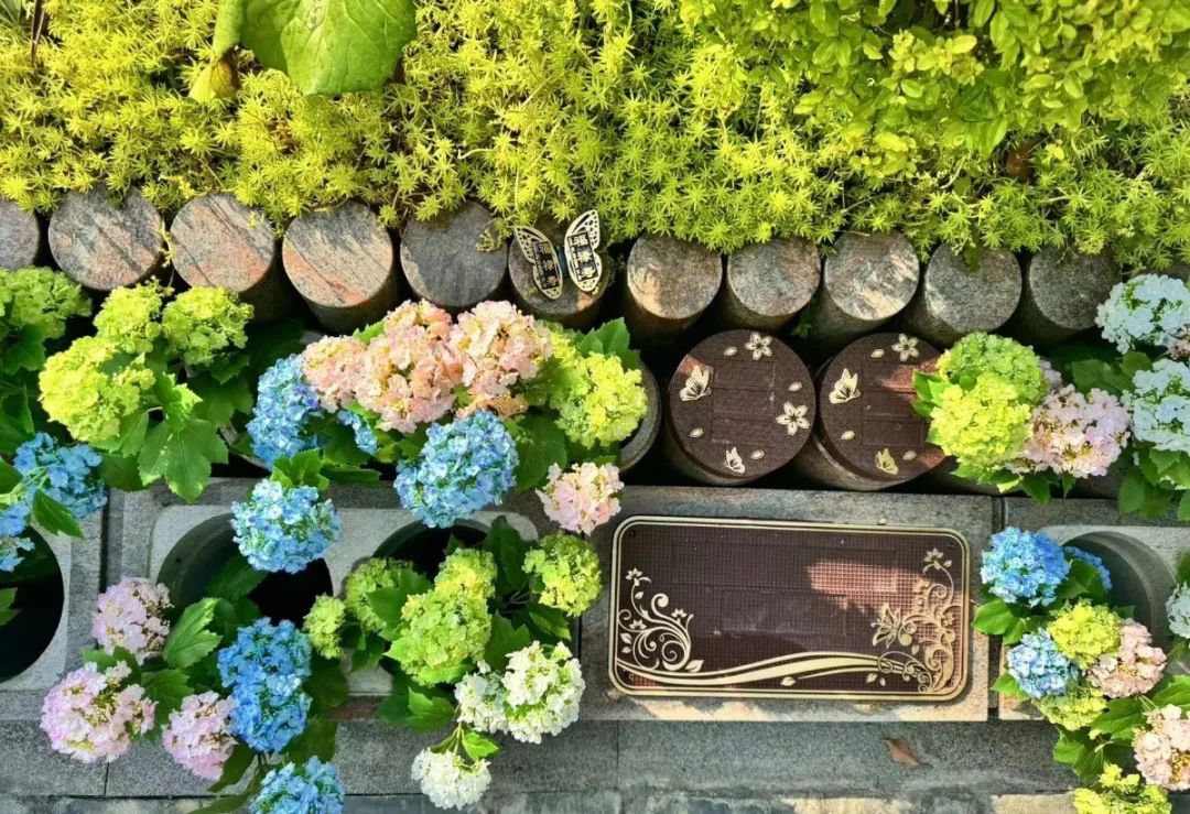 南宫NG28相信品牌的实力网址(中国)官网