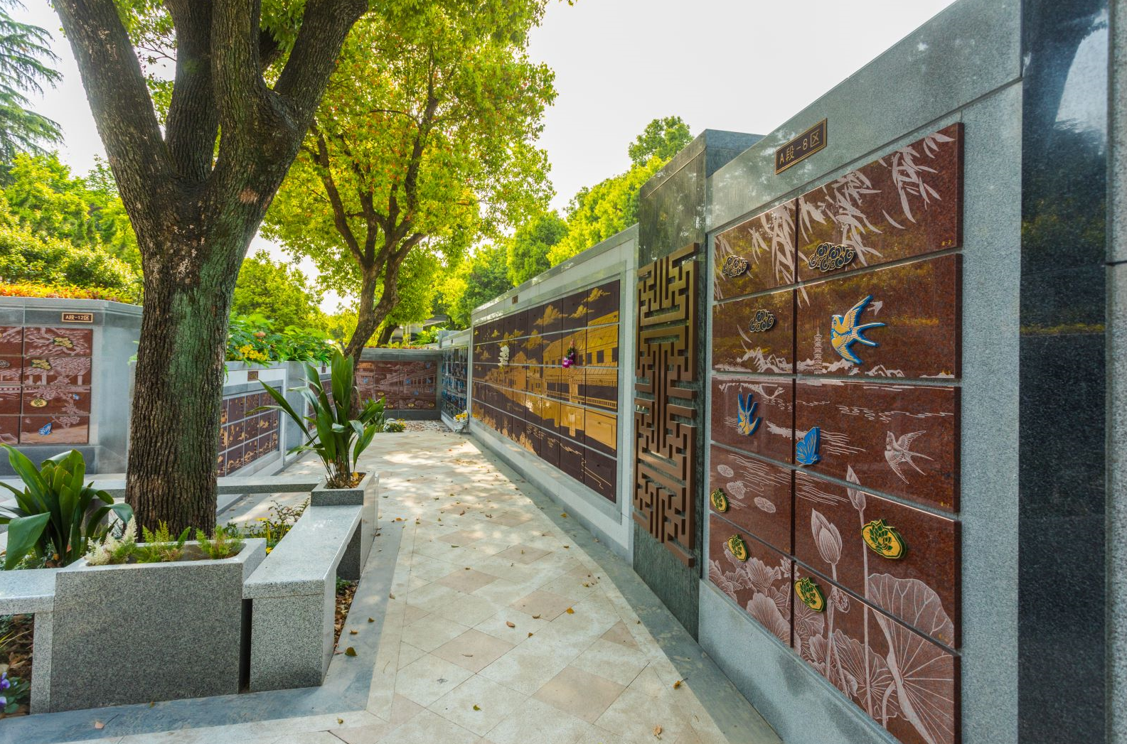 南宫NG28相信品牌的实力网址(中国)官网