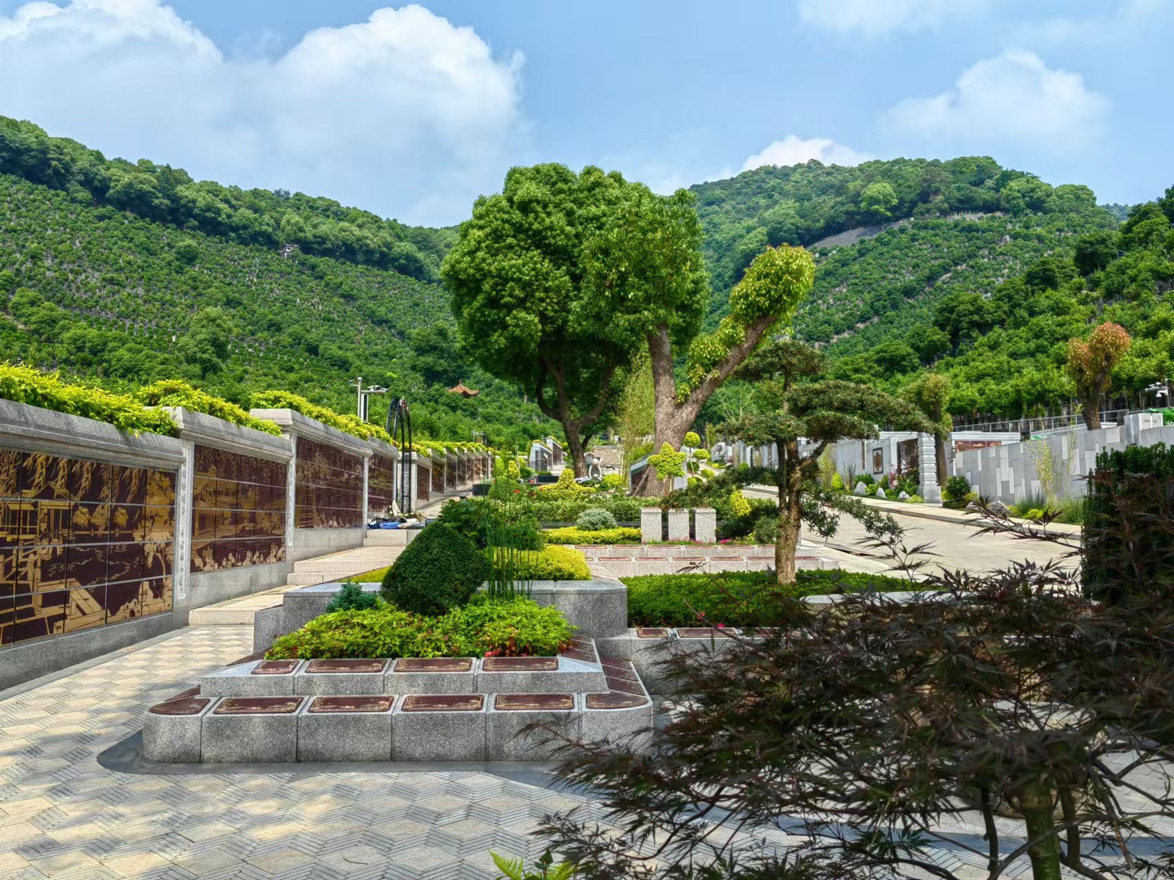 引领绿色生态新民俗，，，，，，，，共筑生命协调家园