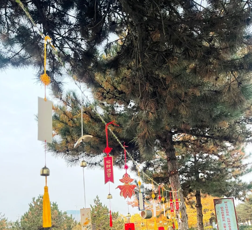 南宫NG28相信品牌的实力网址(中国)官网