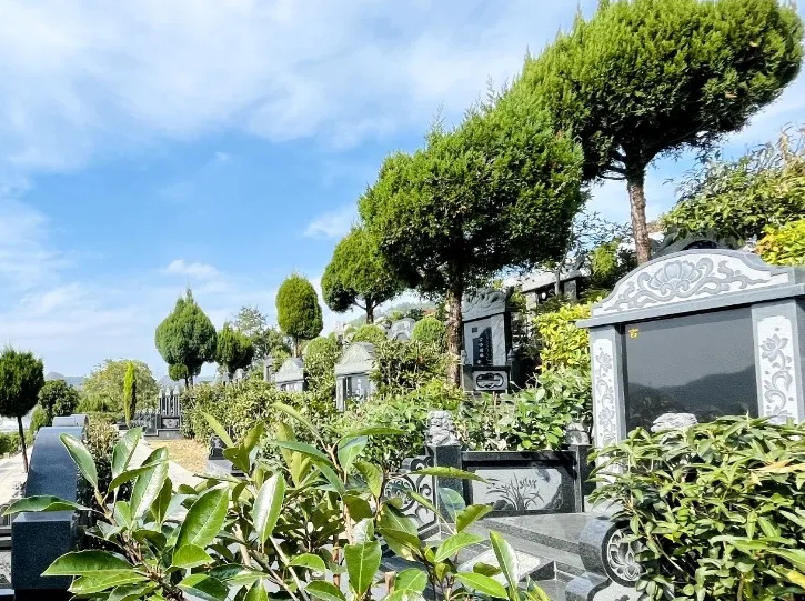 南宫NG28相信品牌的实力网址(中国)官网