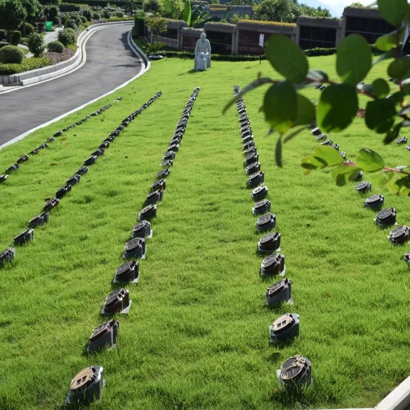 南宫NG28相信品牌的实力网址(中国)官网