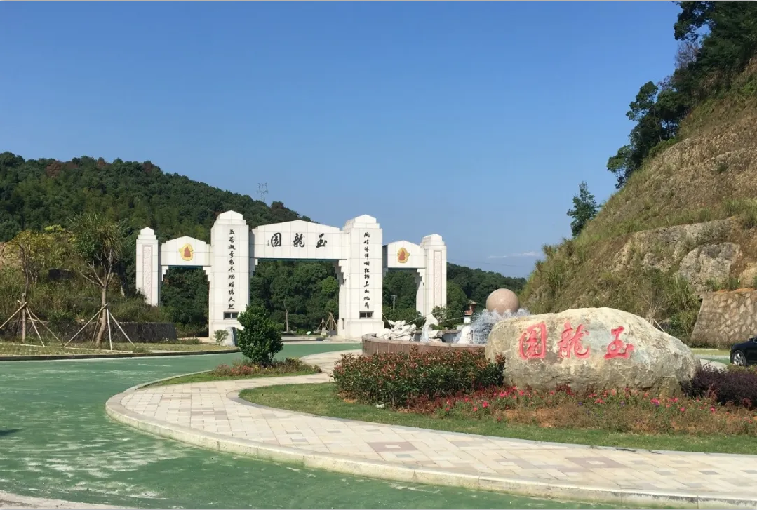 南宫NG28相信品牌的实力网址(中国)官网