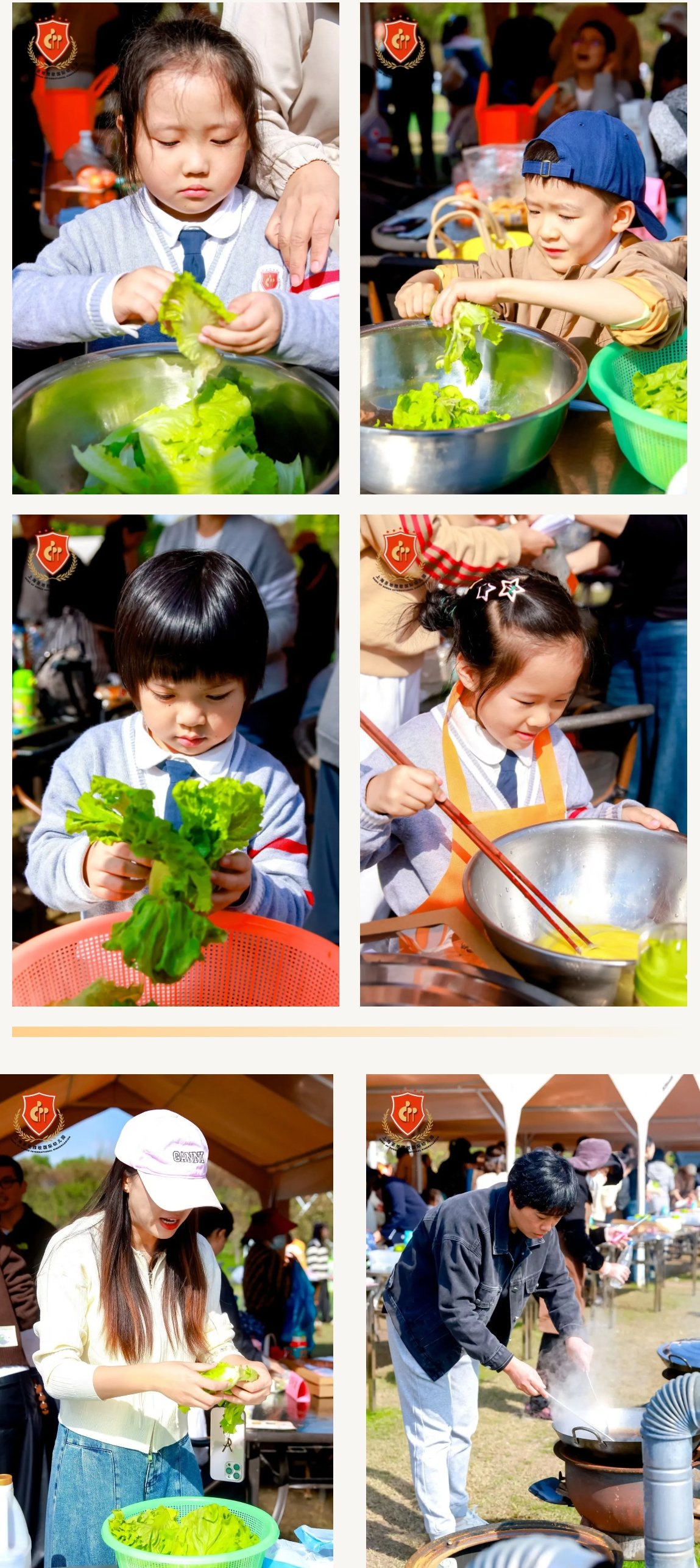 南宫NG28相信品牌的实力网址(中国)官网