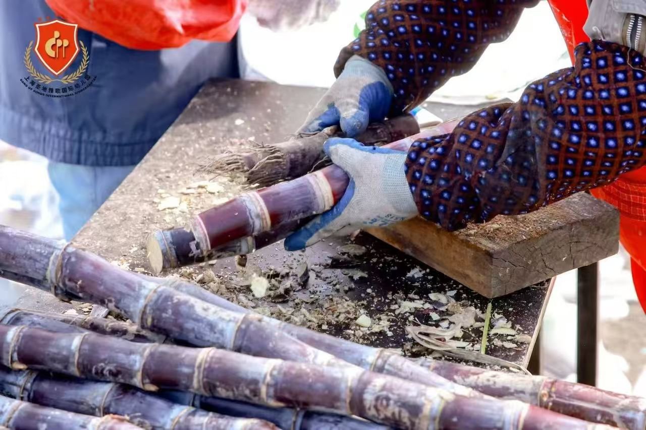 南宫NG28相信品牌的实力网址(中国)官网