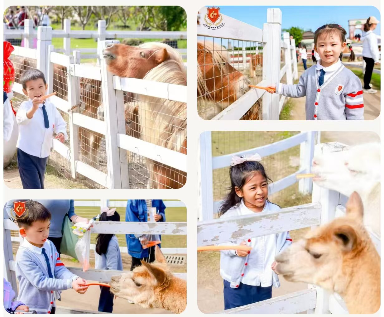 南宫NG28相信品牌的实力网址(中国)官网