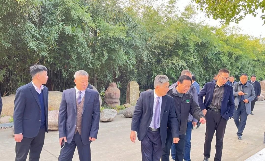 南宫NG28相信品牌的实力网址(中国)官网