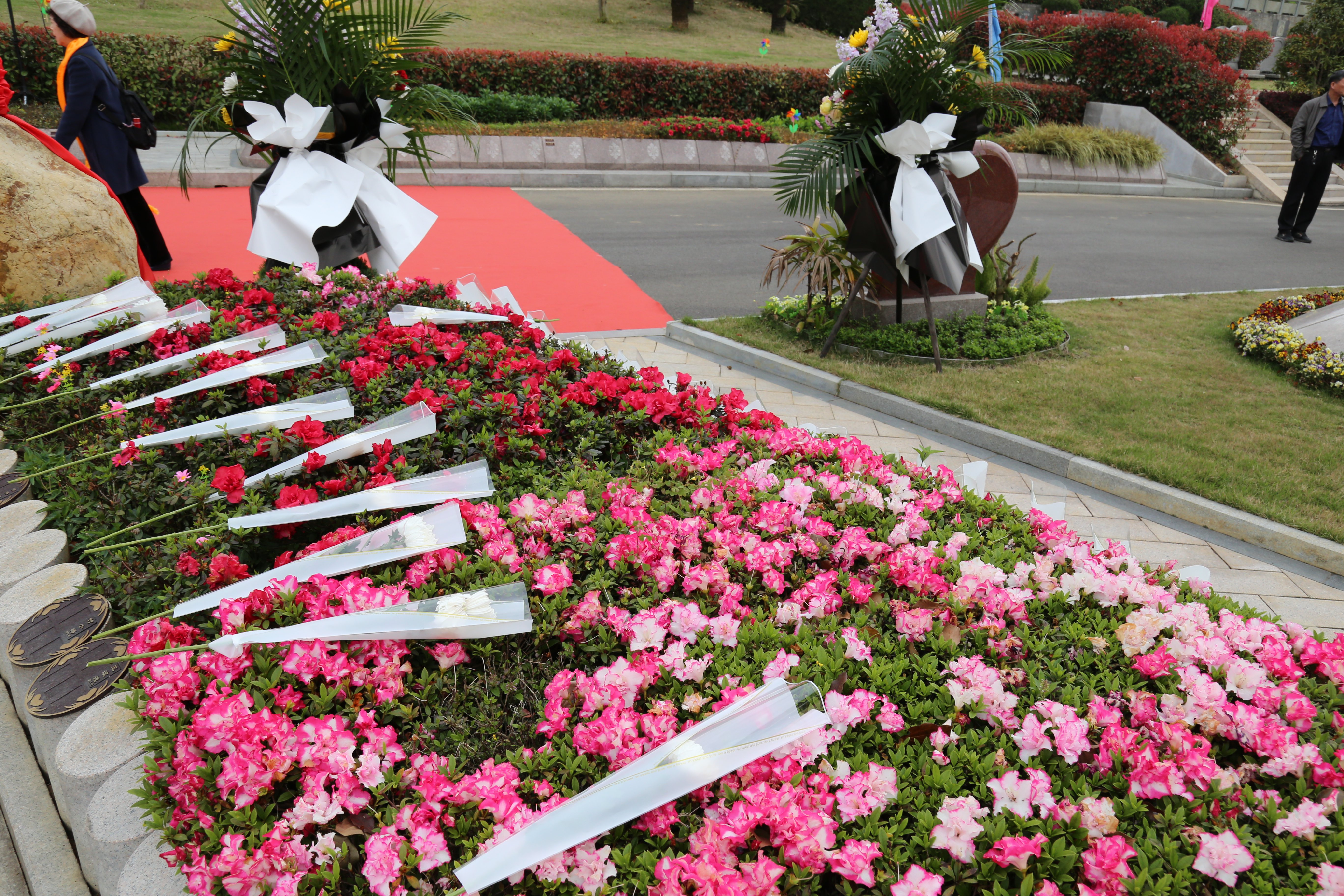 南宫NG28相信品牌的实力网址(中国)官网