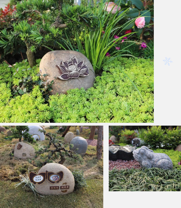 南宫NG28相信品牌的实力网址(中国)官网