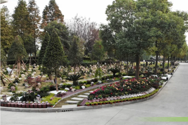 南宫NG28相信品牌的实力网址(中国)官网