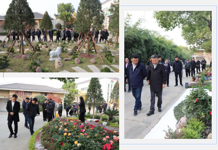 南宫NG28相信品牌的实力网址(中国)官网