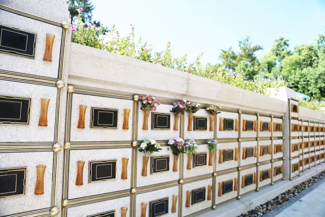 南宫NG28相信品牌的实力网址(中国)官网