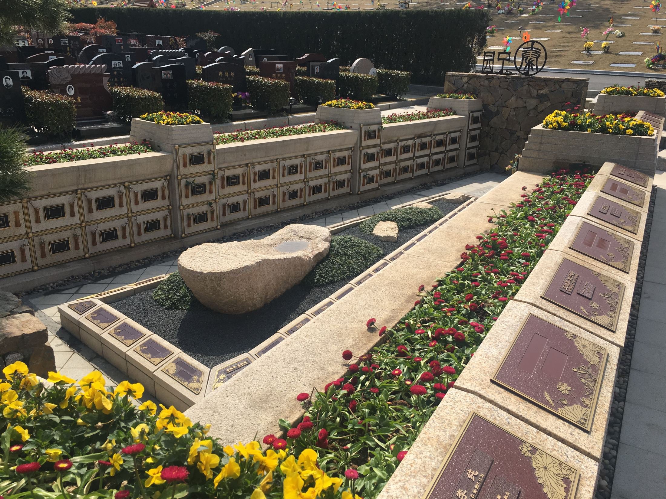 南宫NG28相信品牌的实力网址(中国)官网