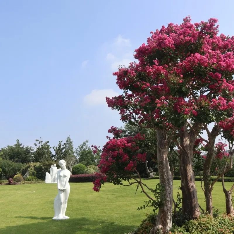 南宫NG28相信品牌的实力网址(中国)官网