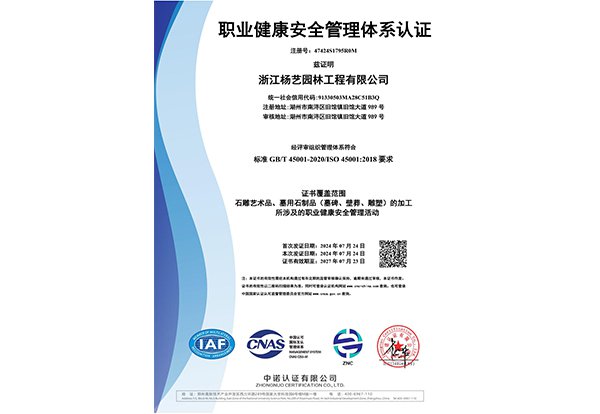 职业康健清静治理系统认证