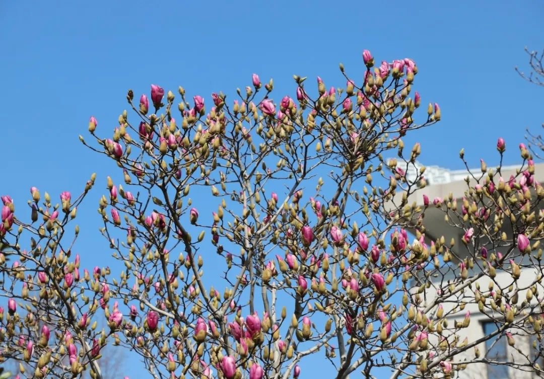 南宫NG28相信品牌的实力网址(中国)官网