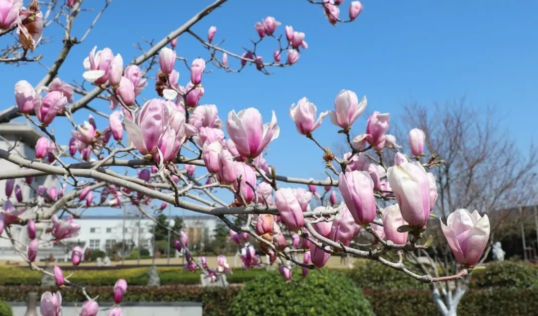 南宫NG28相信品牌的实力网址(中国)官网