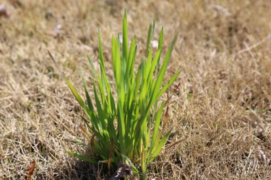 南宫NG28相信品牌的实力网址(中国)官网