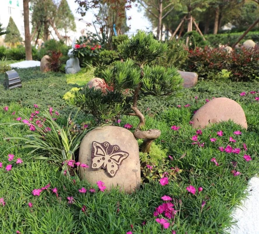 南宫NG28相信品牌的实力网址(中国)官网